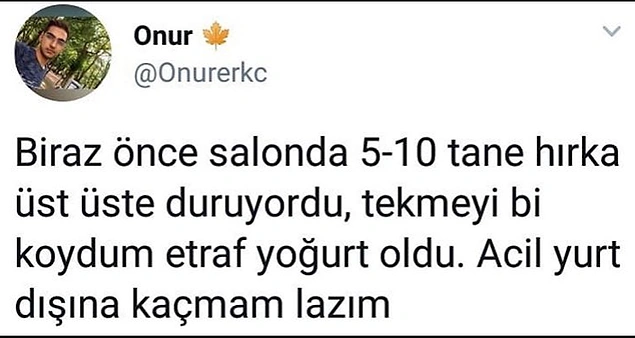 Yallah Meksika'ya.