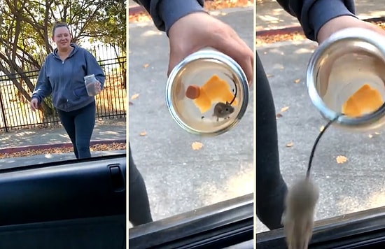 Arkadaşının İncitmeden Yakalayıp Evden Uzaklaştırmak İstediği Fareyi Görmek İsteyen Kadının Korku Dolu Anları!