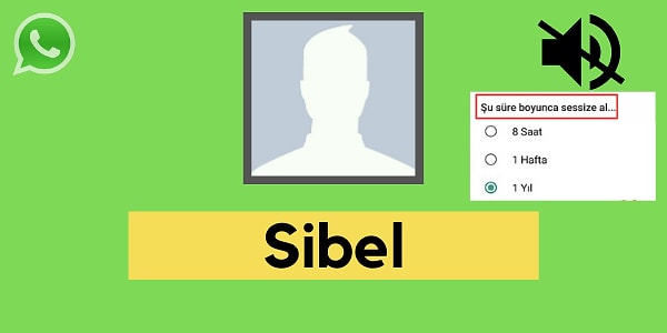 Seni WhatsApp'ta sessize alan kişi Sibel!