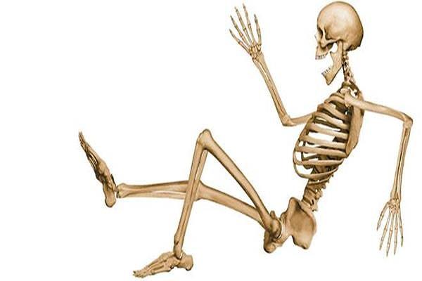 1. İnsan vücudunda kaç kemik vardır?