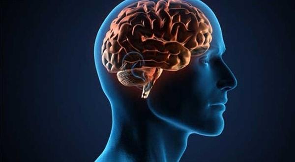 4. Beynin hangi kısmı öğrenme, muhakeme ve duygularını kontrol eder?