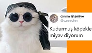 Ponçikliğiyle Kalbimizin Tam Ortasından Vurmuş Gözlerimizi Kalplerle Dolduran 10 Paylaşım