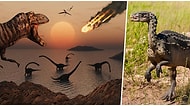 Bundan 66 Milyon Yıl Önce Soyları Tükenmiş Olan Dinozorların Nasıl Yok Olduklarını Öğrenmek İster misiniz?