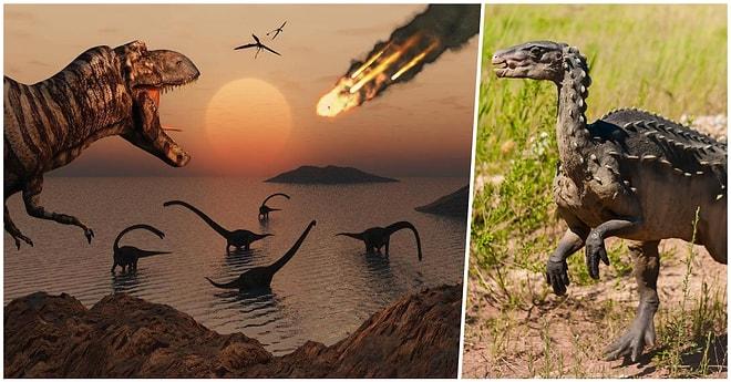 Bundan 66 Milyon Yıl Önce Soyları Tükenmiş Olan Dinozorların Nasıl Yok Olduklarını Öğrenmek İster misiniz?