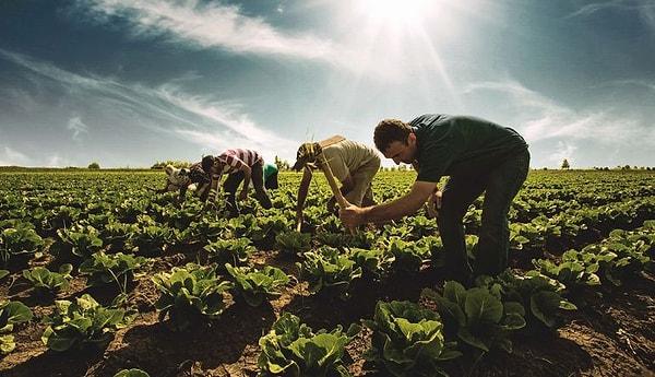 Sektörel bazda bakıldığında ise en hızlı büyüme yüzde 3,8 ile tarım sektöründe gerçekleşti.