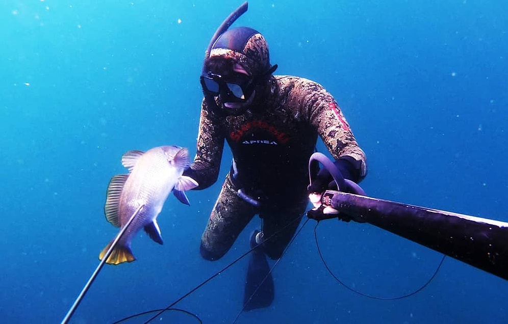 İstanbul Boğazı'nın Zeminini Merak Edenler İçin Dalış Yapan Adamdan Muhteşem Dalış Görüntüleri!