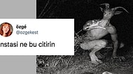 Twitter'da Paylaşılan Temsili Şeytan Görseli Goygoycuların Diline Düştü