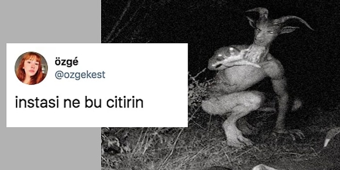 Twitter'da Paylaşılan Temsili Şeytan Görseli Goygoycuların Diline Düştü