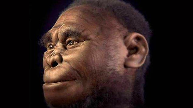 32. Bu yıl insanlık tarihini yeniden yazan bir gelişme yaşadık... 67.000 yaşında 'yeni bir insan türü' keşfedildi.