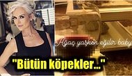 Hamileyken Şarap İçerken Paylaştığı Fotoğraf Yüzünden Tepki Çeken İpek Tanrıyar'ın Takipçilerine Çıkışı Olay Oldu