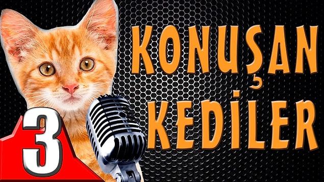 Türkiye'de 2019 yılında YouTube'da en çok izlenen video "Konuşan Kediler 3 – En Komik Kedi Videoları" oldu. İkinci en çok izlenen video ise "Güldür Güldür Show 188. Bölüm – Okul Koridoru" oldu.