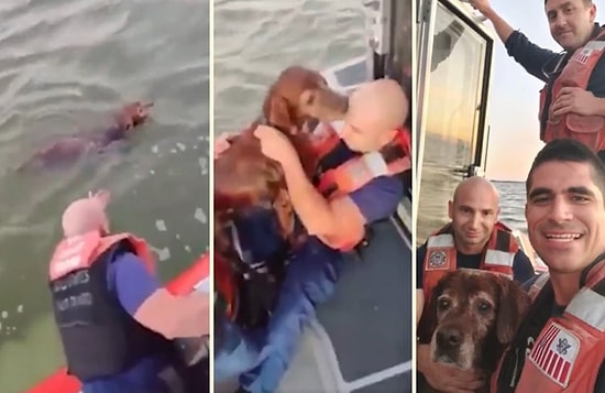 Okyanusun Ortasında Yaşam Mücadelesi Veren Köpeği Kurtaran Güzel İnsanlar!