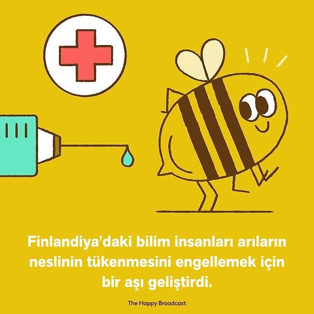 7. 🐝💉