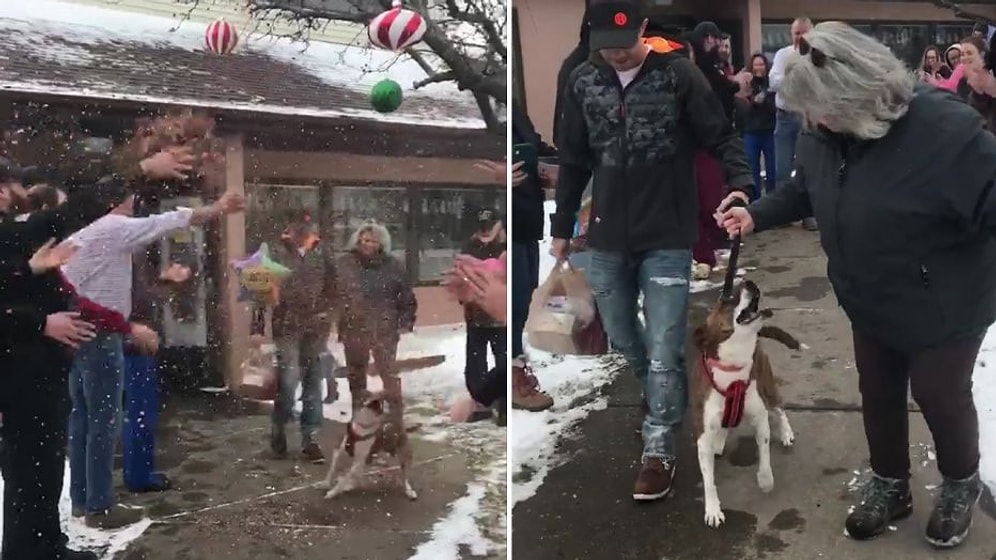 500 Gün Boyunca Barınakta Kalan ve Sonunda Sahiplenilen Köpeği Muhteşem Bir Törenle Uğurlayan İnsanlar!