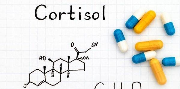 Kortizol, böbrek üstü bezinin kabuk bölgesinde üretilen, vücudun strese gösterdiği tepkiyi düzenleyen bir hormon.