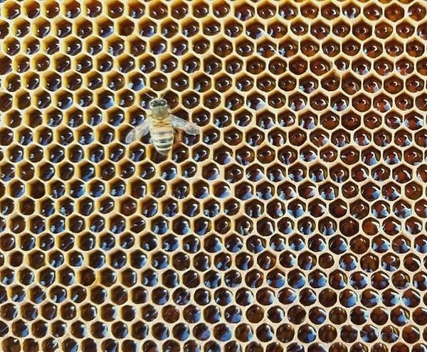 8. OKB olanları bile tedavi edebilecek güzellikte arı balı: