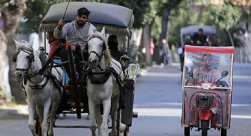 Adalar'da Fayton 3 Aylığına Yasaklandı: Faytoncular 'Açlık Eylemi Yaparız' Dedi