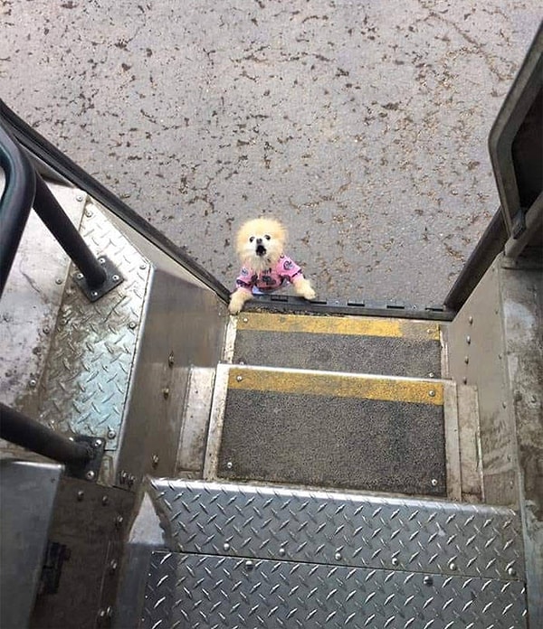 9. А как вам такой малыш?