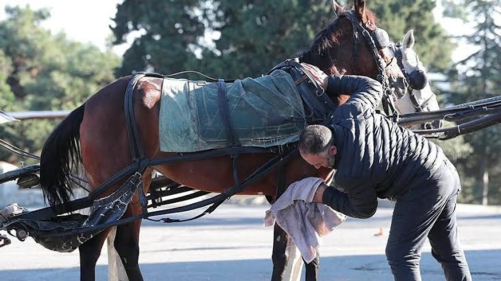Büyükada'da 'Ruam' Tedirginliği: Sokaklar Sessiz, Rezervasyonlar İptal