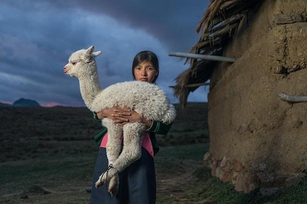 78. Kuzey Peru dağlarında 14 yaşındaki bir kız ve bebek alpaka. Robert Clark'ın perspektifinden.