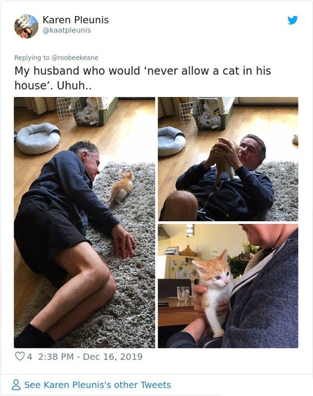 2. "Evinde asla bir kediye izin vermeyen kocam.Hıhı..."