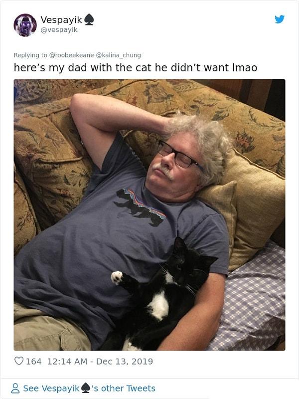 7. "İşte istemediği kediyle birlikte yatan babam."