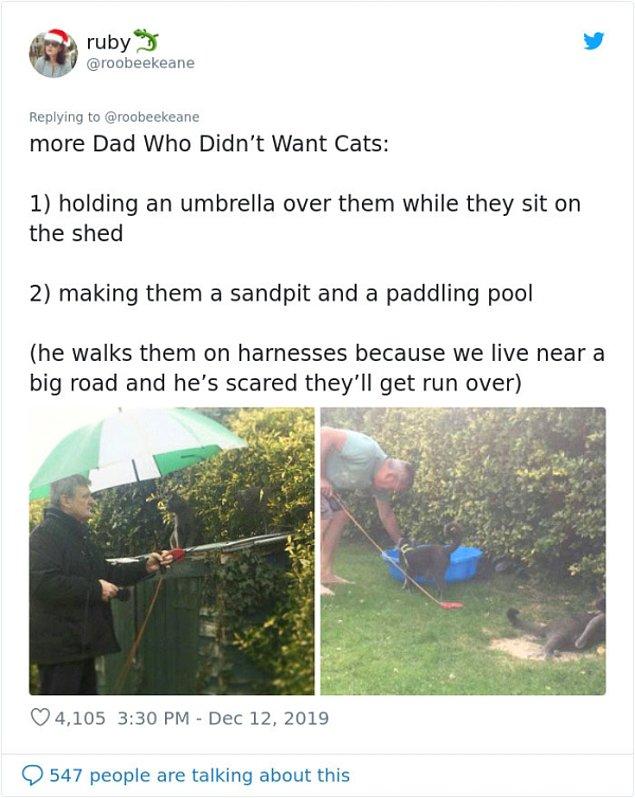19. "Bir tane daha kedi istemeyen baba...1) Kulübenin üstünde otururken onlara şemsiye tutuyor. 2) Onlara kum havuzu ve çocuk havuzu yapıyor."