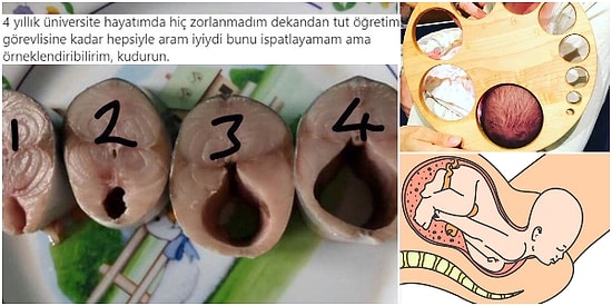 Son Dönemin İğrenç Mizahına Konu Olan Bir Konuyu Açıklığa Kavuşturuyoruz: Vajina Cinsel İlişki ile Genişler mi?