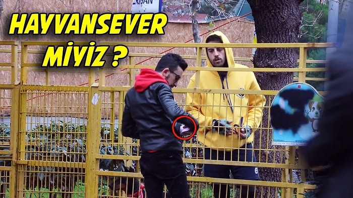 Köpeğinizi 15 Bin TL Karşılığında Satar mıydınız?