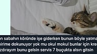 Sizin Oylarınızla Seçilen 2019 Yılının En İyi Tweetleri