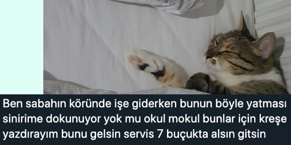 Sizin Oylarınızla Seçilen 2019 Yılının En İyi Tweetleri