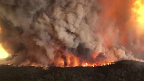 6 Milyondan Fazla Hektar Ormanın Yandığı, Yarım Milyar Hayvanın Hayatını Kaybettiği Avustralya'da Yangınlar Devam Ediyor!
