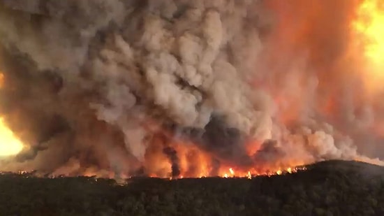 6 Milyondan Fazla Hektar Ormanın Yandığı, Yarım Milyar Hayvanın Hayatını Kaybettiği Avustralya'da Yangınlar Devam Ediyor!