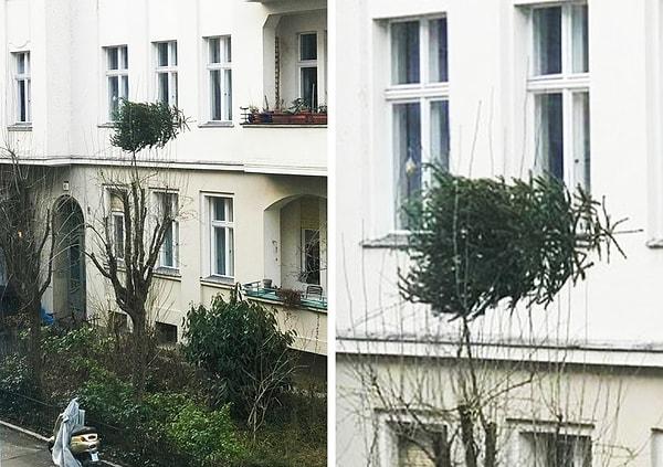 7. "Komşum yılbaşı ağacını balkondan atmaya çalışmıştı ama..."