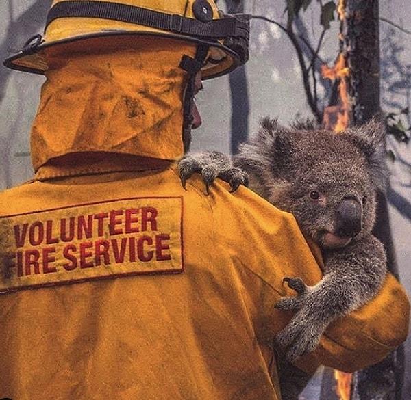 2. Avustralya'da yaşanan büyük yangının boyutları gün yüzüne çıkmaya başladı ve ilk fotoğraflar paylaşıldı. Yangının özellikle doğal hayata verdiği zarar korkunç!