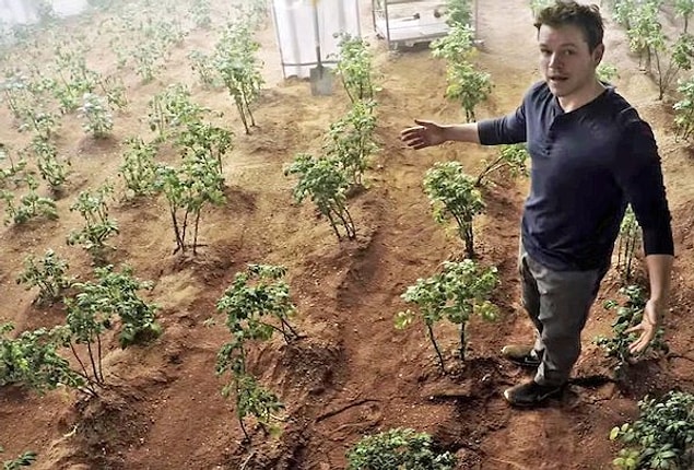 4. Ekinler Mars'ta ve Ay'da gayet iyi büyüyebiliyor.