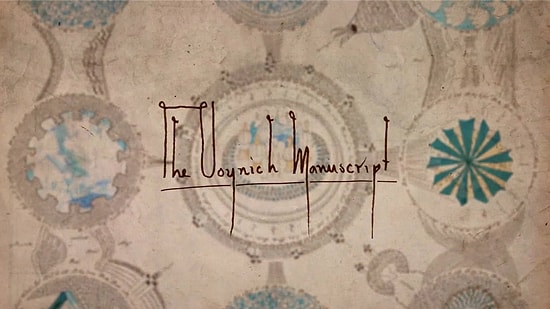Самая загадочная книга в истории человечества: Рукопись Войнича, которая, как  утверждается, сводит с ума тех, кто пытается ее решить