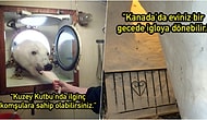 Dünyanın Bazı Yerlerinde Yaşanan Soğuğu Çenenizi Tir Tir Titretirken İliklerinize Kadar Hissettirecek 19 Kare