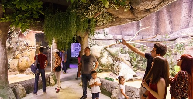 Çocuğunuzu yüzlerce canlının bir arada olduğu heyecan dolu bir gün için Jungle Park'a götürebilirsiniz. Bu eşsiz alan İSFANBUL Alışveriş ve Eğlence Merkezi’nin giriş katında sizi bekliyor olacak.