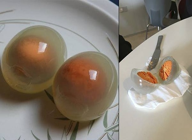 14. Hiç pişmiş bir penguen yumurtası görmüş müydünüz?