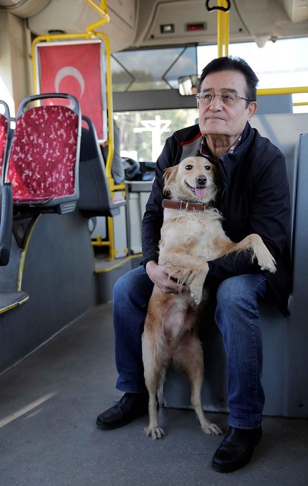 Soğuktan korunmak için halk otobüsüne sığınan bir köpek Antalya turu attı.