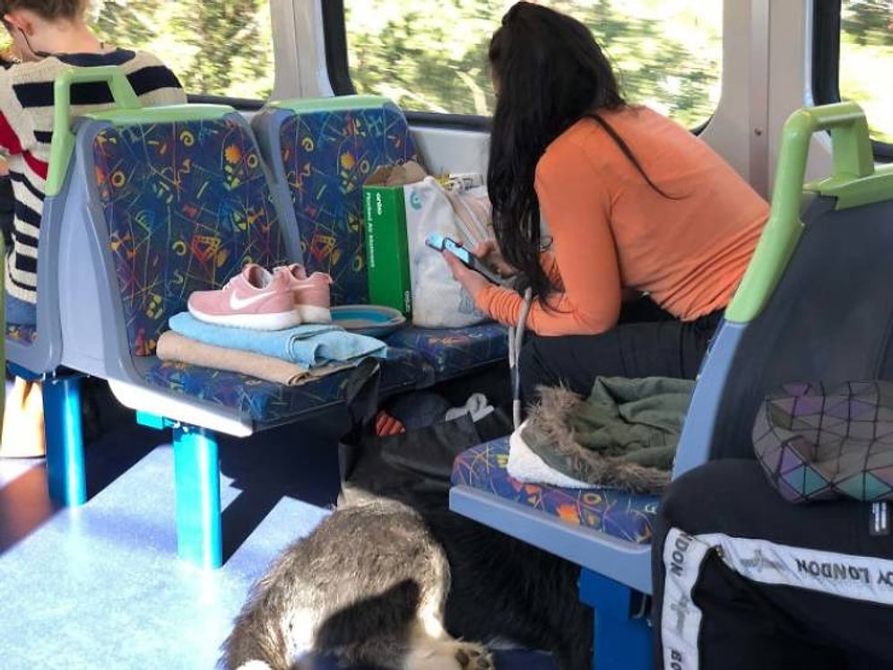 29 случаев из общественного транспорта, которые вы не хотели бы видеть в реальной жизни