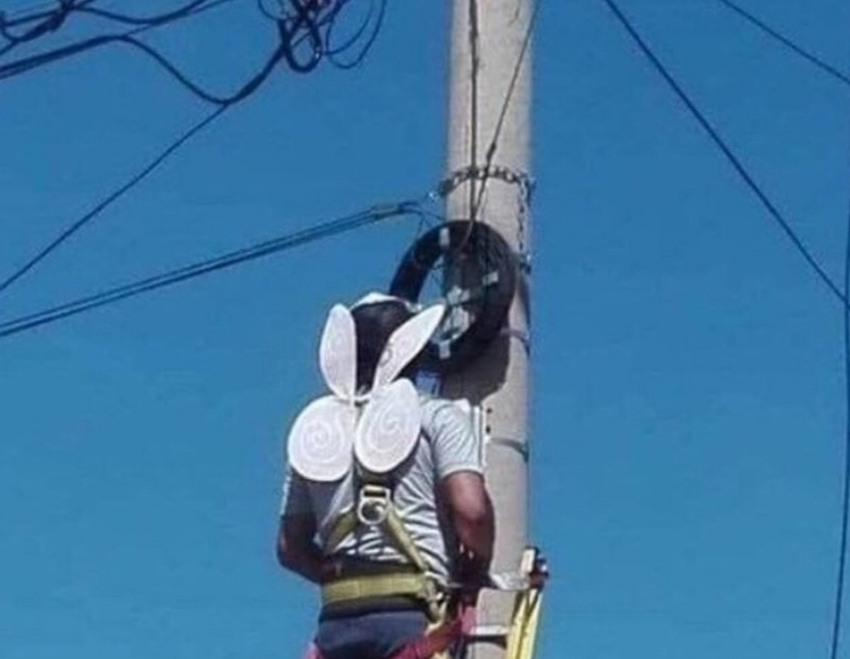 И был ее папа работала. Миша папа миша. Папа и ребенок за компьютером. Тайна 9 планеты презентация. И был ее папа работала.