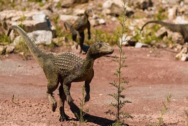 14. Jurassic Park’dan dolayı herkesin düşündüğünün aksine, bazı etçil dinazorlar bir hindi büyüklüğündedir ve tüylülerdir.