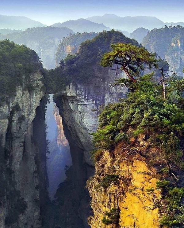 6. Doğal güzelliğiyle göz kamaştıran Çin'in, Zhangjiajie Ulusal Orman Parkı'nda bulunan Avatar Dağı'na bakınca bu gezegende olduğunuza inanamıyorsunuz.