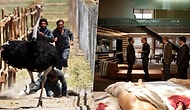 Ortalama Bir Film İzleyeceğinizi Düşünürken Ters Köşe Yapıp Beklentinizin Çok Üstünde Etki Yaratacak 21 Film