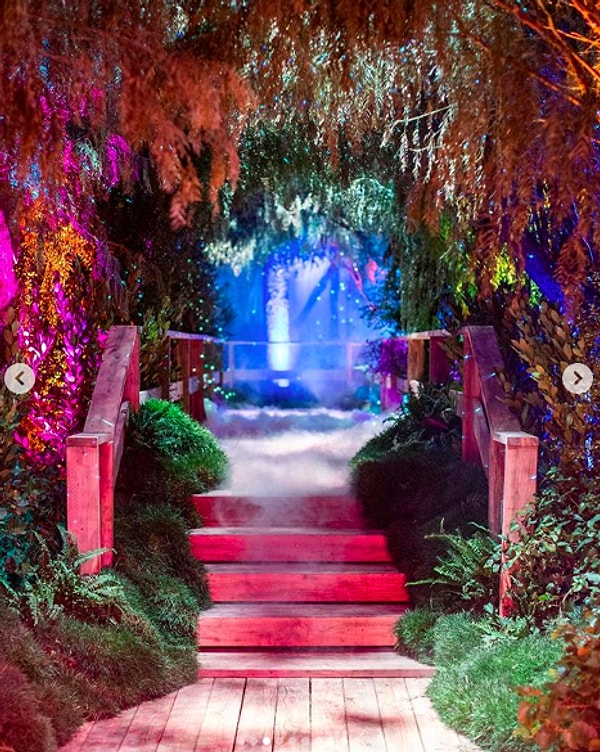 Войдя внутрь, можно обнаружить цветной лес.