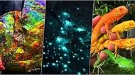 Doğanın Renkleri Birbirine Katarak Oluşturduğu Harikaları Gözleri Önüne Serdiği Anlar