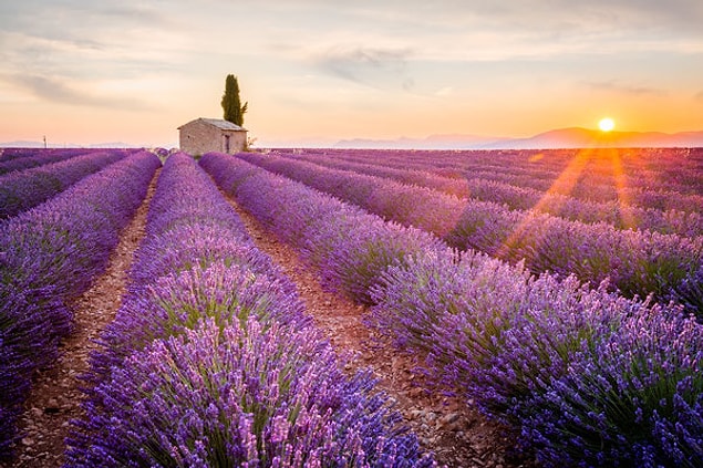 4. Provence, Fransa - Sana lavanta bahçeleri vaat etmedim ki?