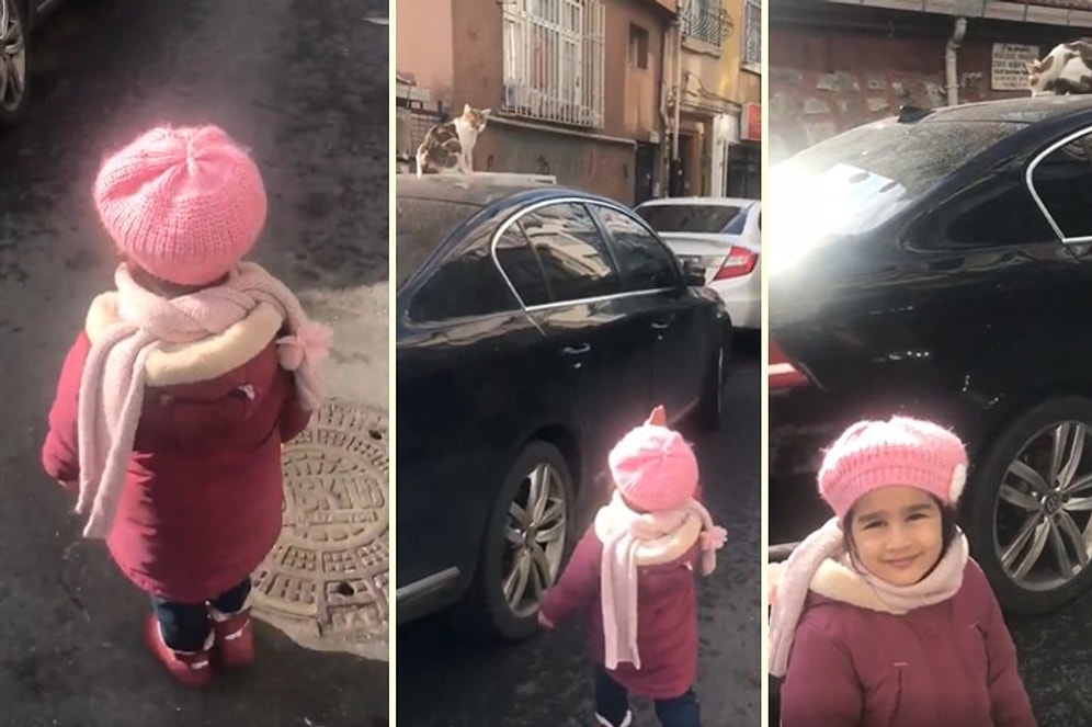 Arabanın Üstündeki Kediye 'Mutlu Olsun Diye' Selam Veren Ufaklık